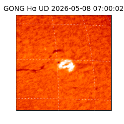 gong - 2026-05-08T07:00:02