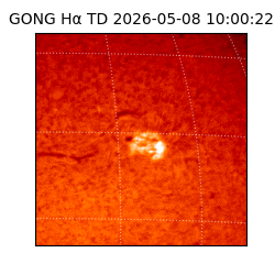 gong - 2026-05-08T10:00:22