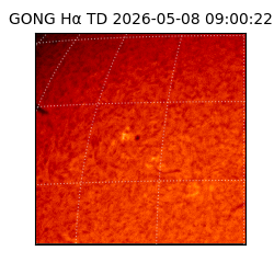 gong - 2026-05-08T09:00:22