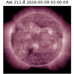 saia - 2026-05-09T03:00:09.624000