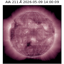 saia - 2026-05-09T14:00:09.623000