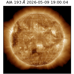 saia - 2026-05-09T19:00:04.842000