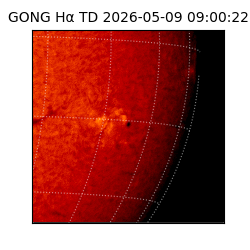 gong - 2026-05-09T09:00:22