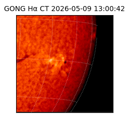 gong - 2026-05-09T13:00:42