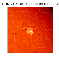 gong - 2026-05-09T01:00:02