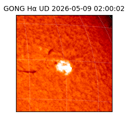 gong - 2026-05-09T02:00:02