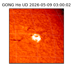 gong - 2026-05-09T03:00:02