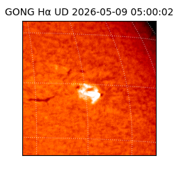 gong - 2026-05-09T05:00:02