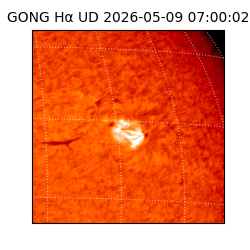gong - 2026-05-09T07:00:02