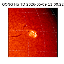 gong - 2026-05-09T11:00:22