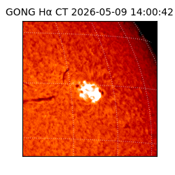 gong - 2026-05-09T14:00:42