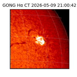 gong - 2026-05-09T21:00:42