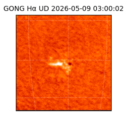 gong - 2026-05-09T03:00:02