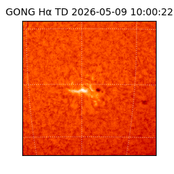 gong - 2026-05-09T10:00:22