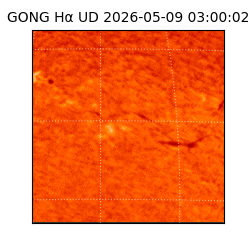 gong - 2026-05-09T03:00:02