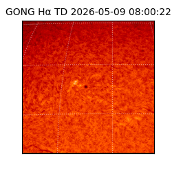 gong - 2026-05-09T08:00:22