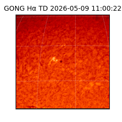 gong - 2026-05-09T11:00:22
