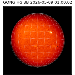 gong - 2026-05-09T01:00:02