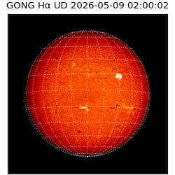 gong - 2026-05-09T02:00:02