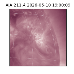 saia - 2026-05-10T19:00:09.622000