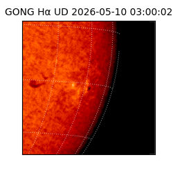 gong - 2026-05-10T03:00:02