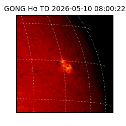 gong - 2026-05-10T08:00:22