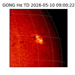gong - 2026-05-10T09:00:22