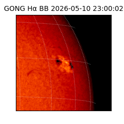 gong - 2026-05-10T23:00:02