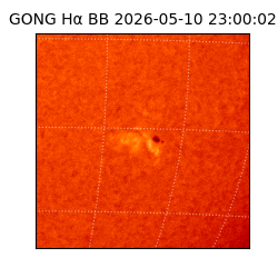 gong - 2026-05-10T23:00:02