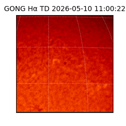 gong - 2026-05-10T11:00:22