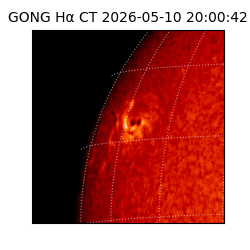 gong - 2026-05-10T20:00:42