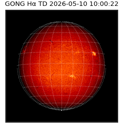 gong - 2026-05-10T10:00:22