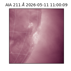 saia - 2026-05-11T11:00:09.630000