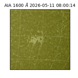 saia - 2026-05-11T08:00:14.123000
