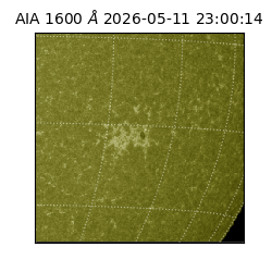 saia - 2026-05-11T23:00:14.131000