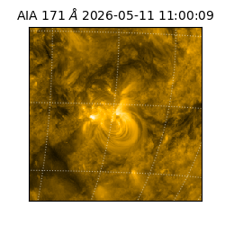 saia - 2026-05-11T11:00:09.352000