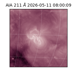 saia - 2026-05-11T08:00:09.631000