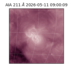 saia - 2026-05-11T09:00:09.630000