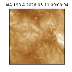 saia - 2026-05-11T09:00:04.842000