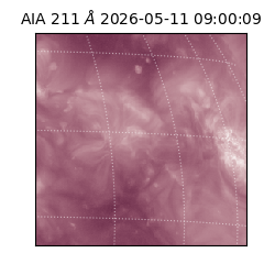 saia - 2026-05-11T09:00:09.630000