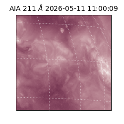 saia - 2026-05-11T11:00:09.630000