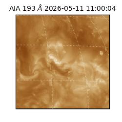 saia - 2026-05-11T11:00:04.843000