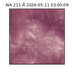 saia - 2026-05-11T03:00:09.623000