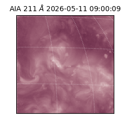 saia - 2026-05-11T09:00:09.630000