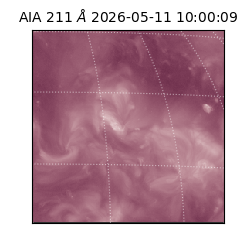 saia - 2026-05-11T10:00:09.629000