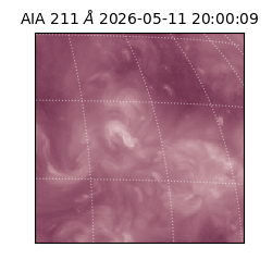 saia - 2026-05-11T20:00:09.623000