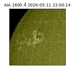 saia - 2026-05-11T23:00:14.131000