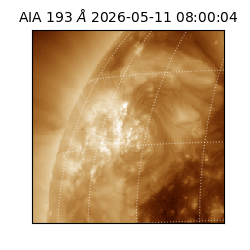 saia - 2026-05-11T08:00:04.842000
