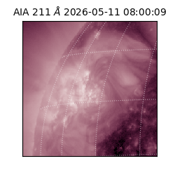 saia - 2026-05-11T08:00:09.631000