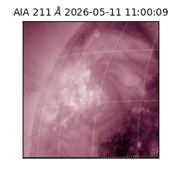 saia - 2026-05-11T11:00:09.630000